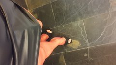 2017-10-31 05.34.50.jpg