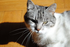 DSC_0189.JPG