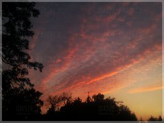 1IMG_20170804_203634.jpg