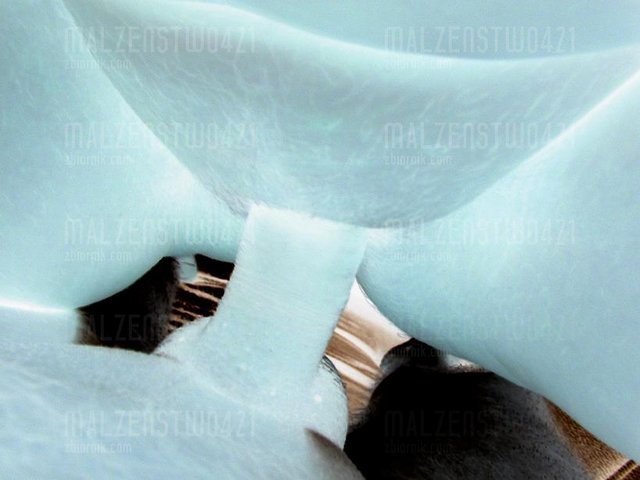 malzenstwo421