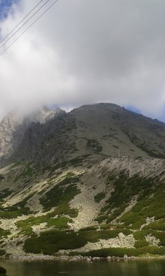 20170729_105258.jpg