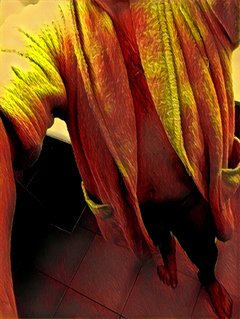 23AF9749-80F2-4B67-9A5A-2F5449005FA9.jpeg
