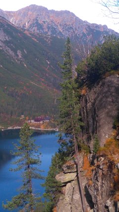 DSC_1253.JPG