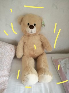 IMG_20171110_122959.jpg