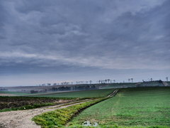 P1000256.JPG