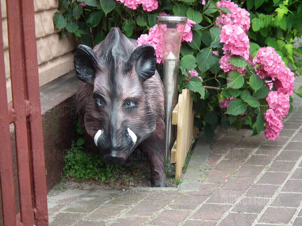 DSCF4244.JPG - GoracyTomek