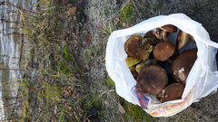 20171118_134022.jpg