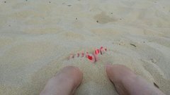 1502363821463 (Copy).jpg