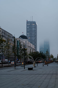 Chłodny ranek