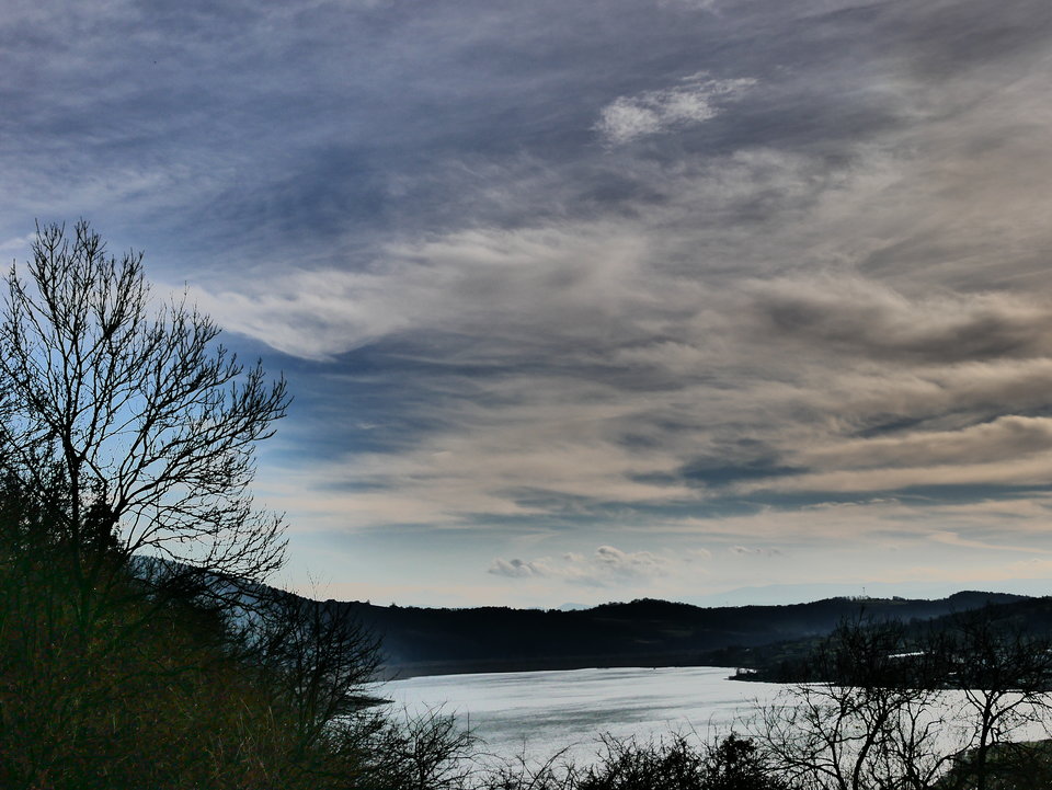 P1000441.JPG - FoKam431