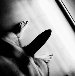 0A678DC1-108F-4987-B091-F9A9056BFE02.jpeg