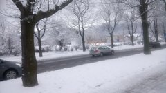 DSC_0591.JPG
