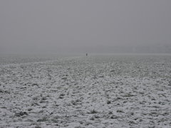 P1000550.JPG