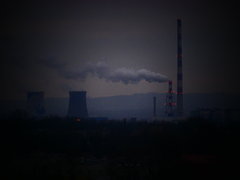 P1000580.JPG