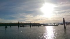 IMAG0446.jpg