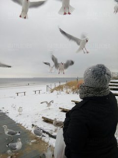 IMG-20171211-WA0001.jpg