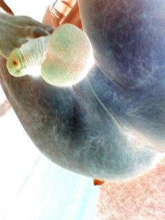 IMG_20171213_130537.jpg