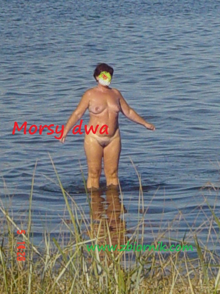 Zatoka Pucka - Morsy_dwa