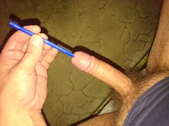 DSC_1910.JPG