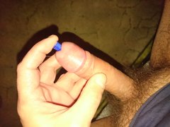 DSC_1908.JPG