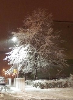 IMAG0927_1.jpg