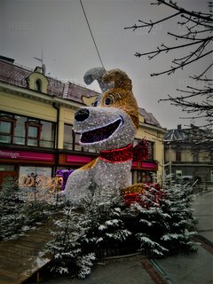 DSC_0034.JPG