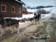 DSC_0236.jpg