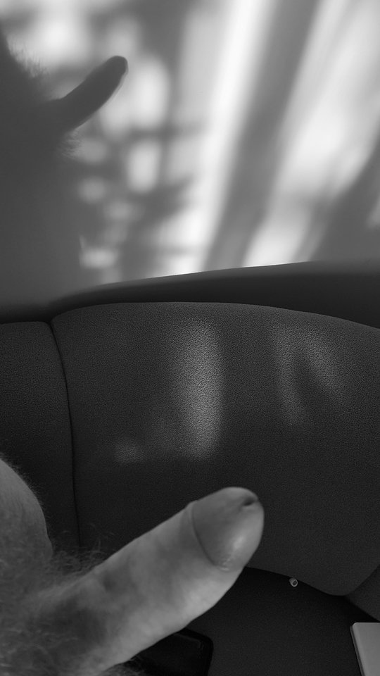 20171226_081830.jpg - piotrslawski1978