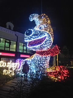 DSC_0078.JPG