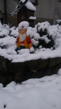 20171229_114528.jpg