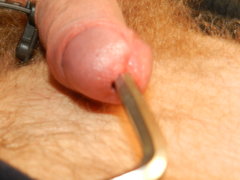 DSCN1204.JPG