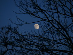 P1010015.JPG