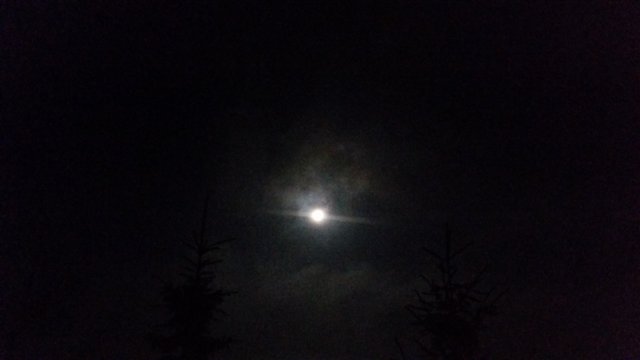 darkxx