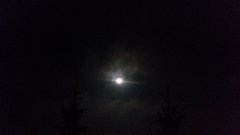 20180103_061030.jpg
