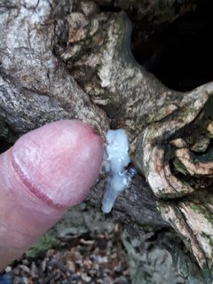 20180107_153707.jpg