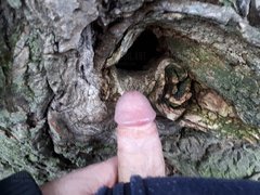 20180107_153205.jpg