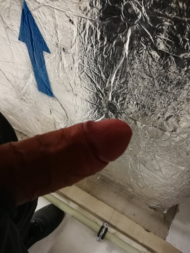 Zigibono40