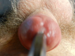 DSCN1249.JPG