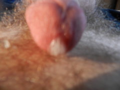 DSCN1267.JPG