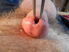 DSCN1282.JPG