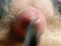 DSCN1246.JPG