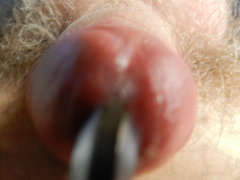 DSCN1247.JPG