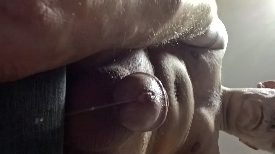 WP_20180113_20_00_38_Pro_LI.jpg - Bisexslave