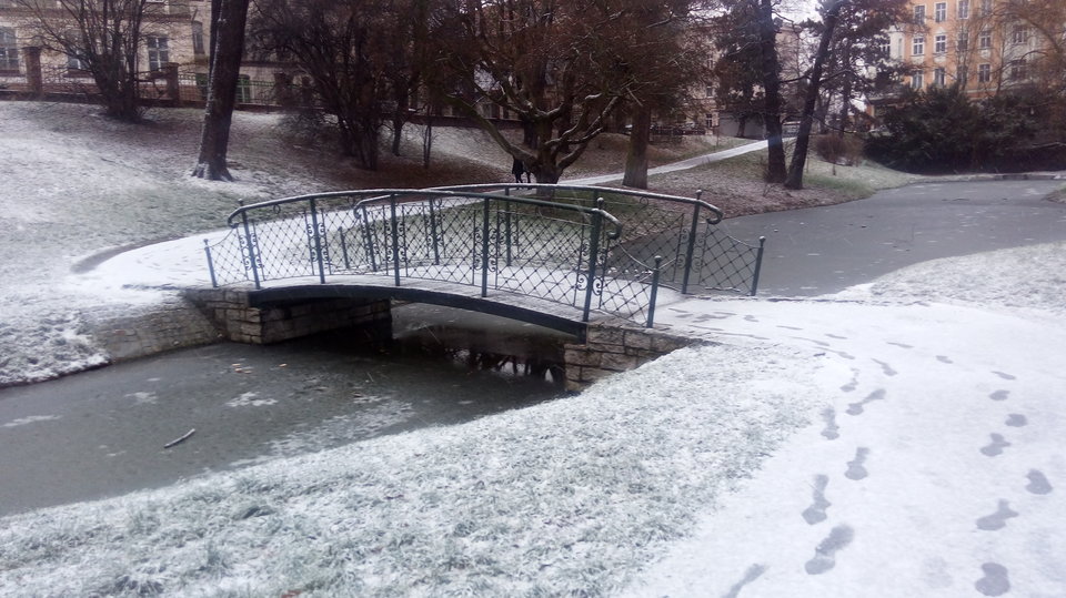 20180117_152225.jpg - merkury40