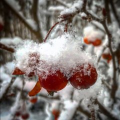 IMG_0054.JPG