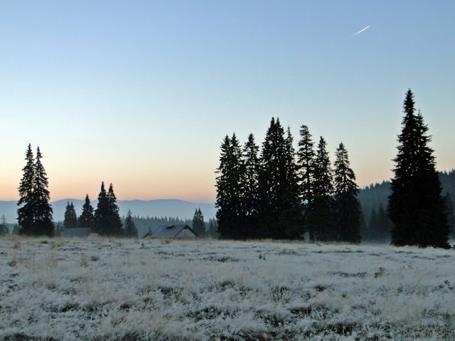 merkury40