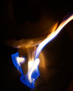 DSC00055.JPG