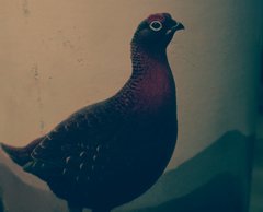 _20180122_031859.JPG
