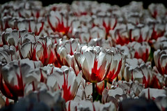 DSC04069_Darkroom.jpg