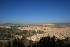 IMG_1115.JPG